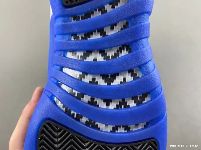 Reps LUCY Air CT8013-140 Blueberry Jordan 12 0607